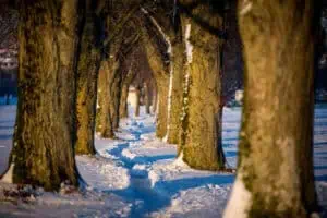 Winterwandern in ©Bad-Wörishofen