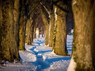 Winter in ©Bad Woerishofen