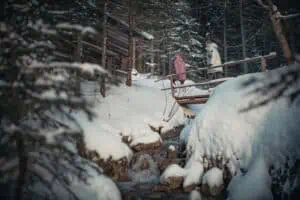 Winterwandern ©C.Jorda Tiroler Zugspitz Arena