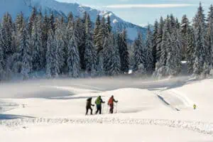 Winterweitwandern ©Region Seefeld Johannes Geyer