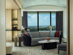 Sky Suite Living Room scenic View