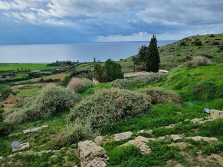 Zypern-©Detlef-Duering-063 Zypern ©Detlef Duering 063