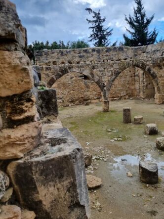 Zypern-©Detlef-Duering-076 Zypern ©Detlef Duering 076