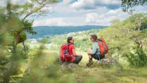 Altmühltal-Panoramaweg-12-Aposteln