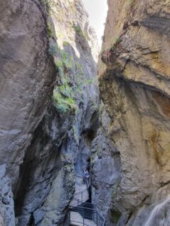 Burgos Geierschlucht La Yecla ©Detlef Duering 104