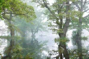 Soomaa-Fünfte-Jahreszeit-©️Visit-Estonia