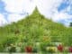 LUGA Kirchberg The Living Pyramid © Agnes Denes