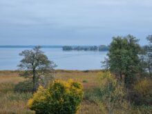 Blick auf die Fraueninsel Prien ©Detlef Duering 47