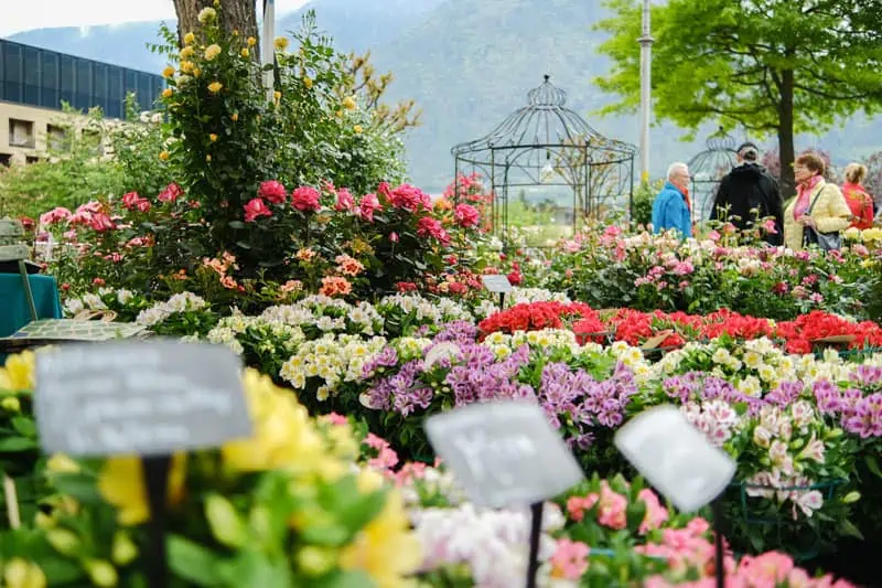 Merano Flower Festival ©Fabio Rubini