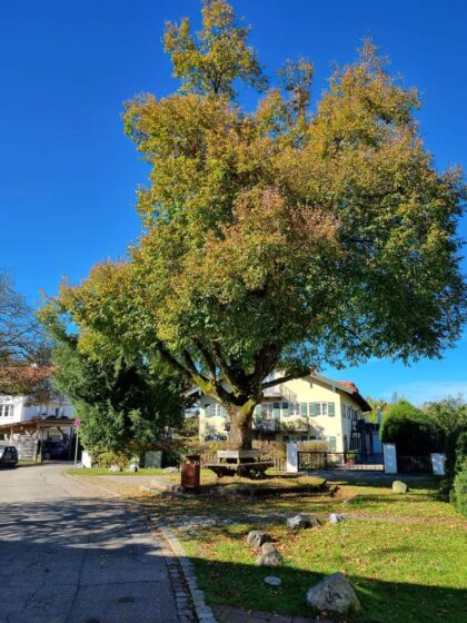 Prien ©Detlef Duering 03