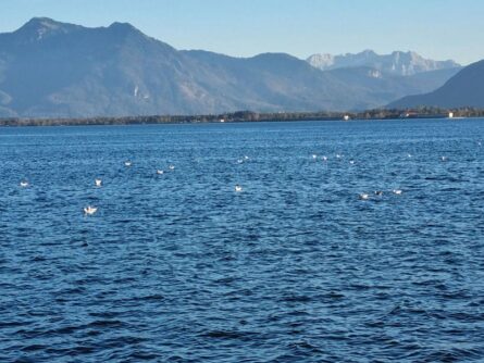 Prien-©Detlef-Duering-06 Prien ©Detlef Duering 06