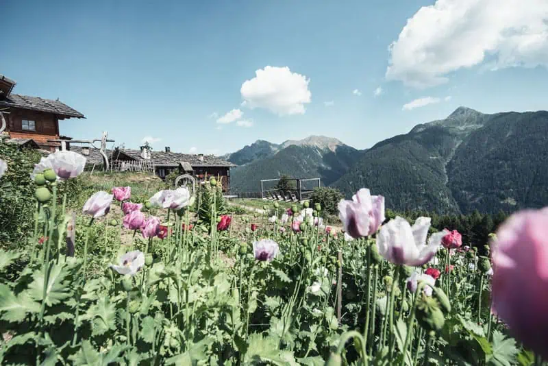 Unterschweig im Ultental © pretty hotels.com Robert Kittel