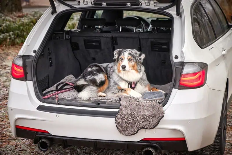 WOLTERS Cleankeeper Reise Pad hellgrau Mood print 39