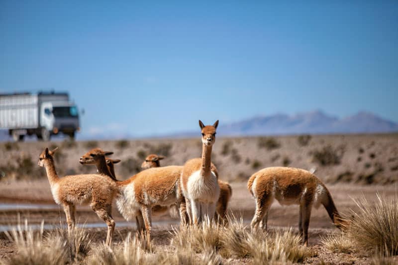 AREQUIPA ©Miguel Mejia PROMPERU