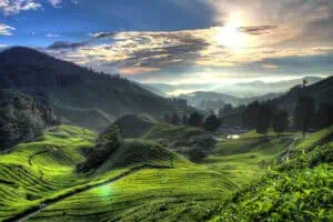 Cameron-Highlands-4_Pahang_©Tourism-Malaysia
