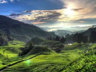 Cameron Highlands 4 Pahang ©Tourism Malaysia