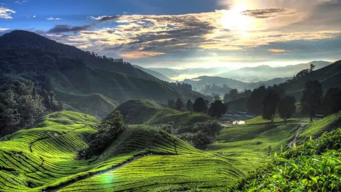 Cameron Highlands 4 Pahang ©Tourism Malaysia