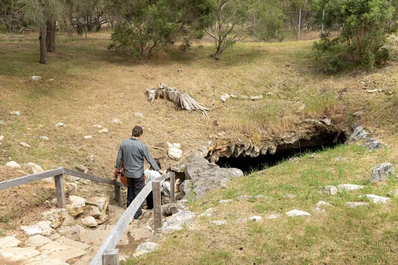Die Naracoorte Caves an der Limestone Coast aussen ©Tourism Australia South Australian Tourism Commission