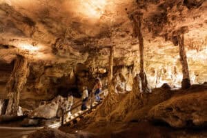 Südaustraliens schönste Orte unter der Oberfläche Die-Naracoorte-Caves-an-der-Limestone-Coast-©Tourism-Australia_South-Australian-Tourism-Commission
