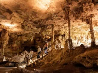 Die Naracoorte Caves an der Limestone Coast ©Tourism Australia South Australian Tourism Commission