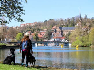 Mit Hund in Montbeliard ©OTPM 2