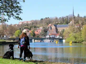 Mit Hund in Montbeliard ©OTPM 2