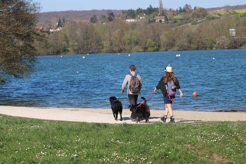 Mit Hund in Montbeliard ©OTPM 3