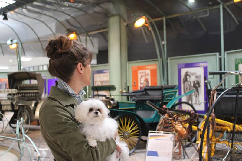 Mit Hund in Montbeliard ©OTPM
