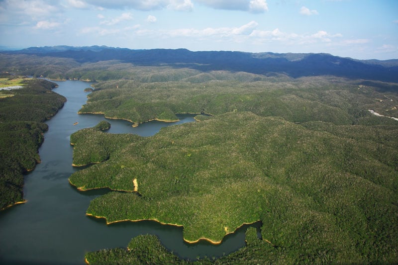 MountainOfYambaru MandatoryCredit Okinawa Convention＆Visitors Bureau