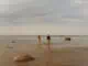Strand ©Visit Estonia