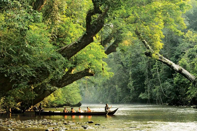 Taman Negara Pahang ©Tourism Malaysia