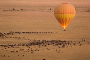 Die große Tierwanderung in Kenia Tierwanderungen-aus-der-Vogelperspektive-©-AsodaPhotography--Getty-Images