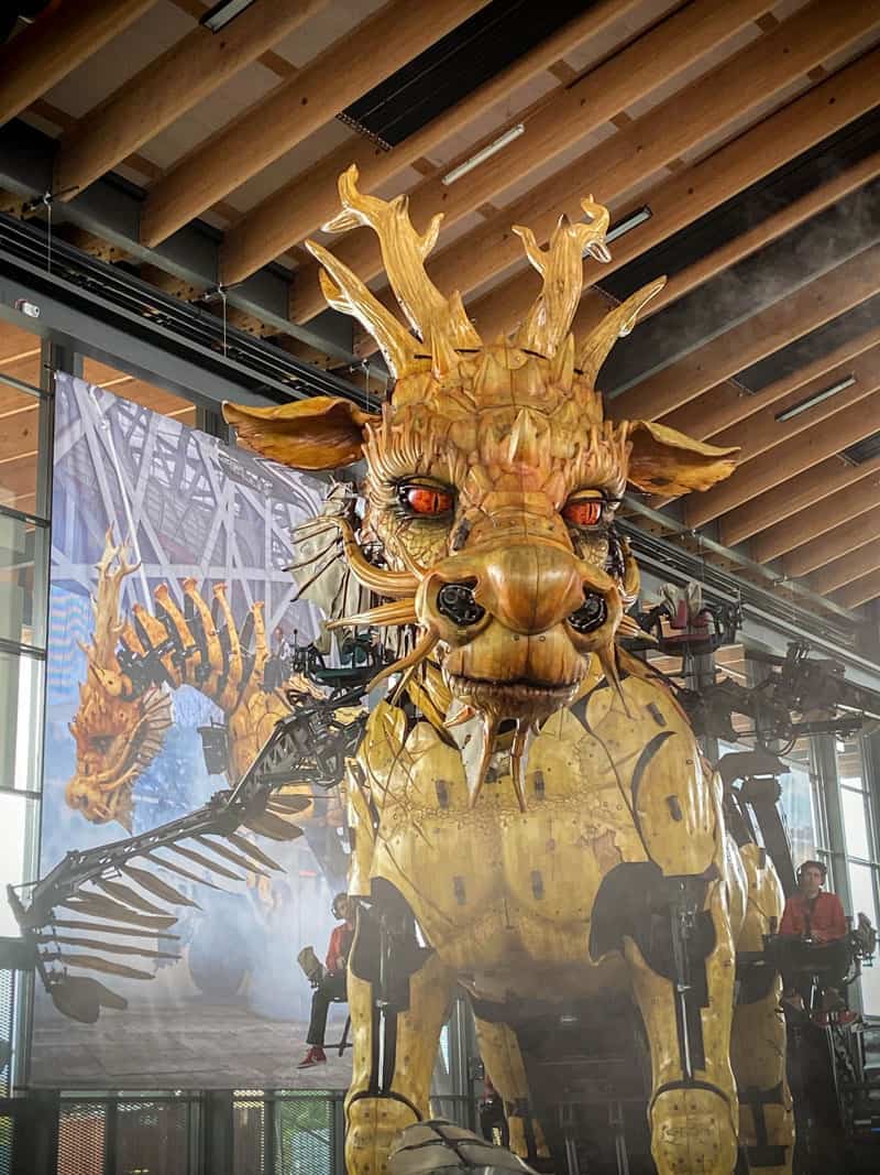 Toulouse Reveil de Long Ma © Chloe Sabatier