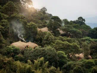 Wilderness Bisate ©Wilderness