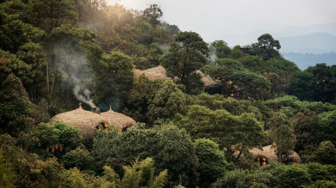 Wilderness Bisate ©Wilderness
