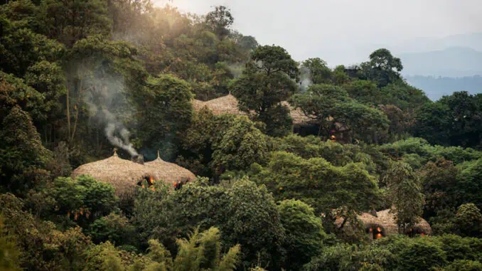 Wilderness Bisate ©Wilderness