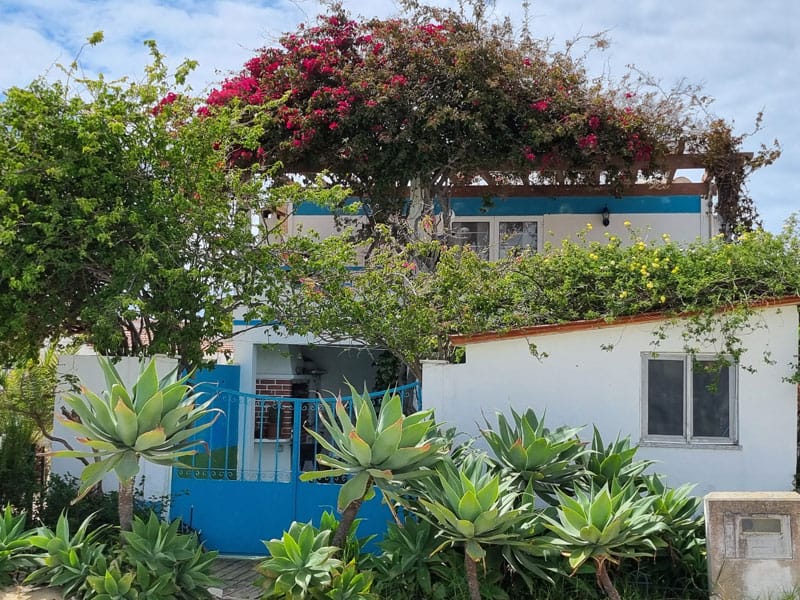 Algarve Insel Culatra ©Detlef Duering 018