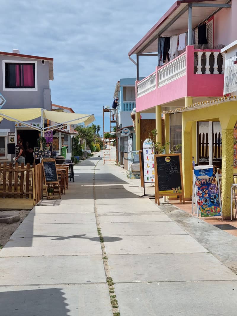 Algarve Insel Culatra ©Detlef Duering 019