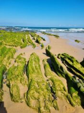 Algarve Monte Clerigo ©Detlef Duering 116