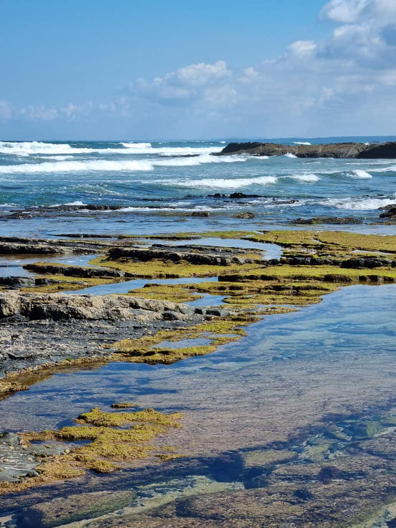 Algarve Monte Clerigo ©Detlef Duering 117