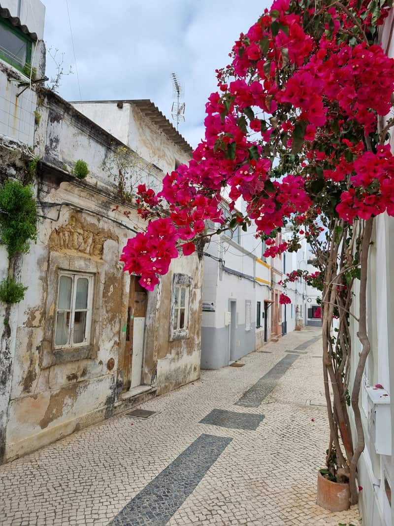 Algarve Olhao ©Detlef Duering 015