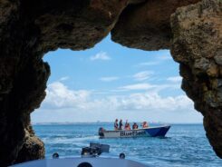 Algarve Ponta da Piedade ©Detlef Duering 055