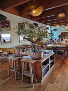 Algarve Praia do Canal Nature Retreat ©Detlef Duering 143