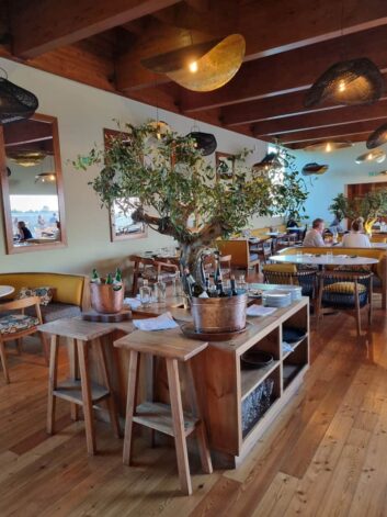 Algarve Praia do Canal Nature Retreat ©Detlef Duering 143