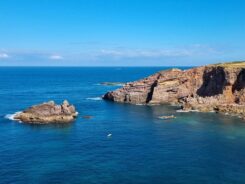 Algarve Praia do Canal Nature Retreat ©Detlef Duering 148