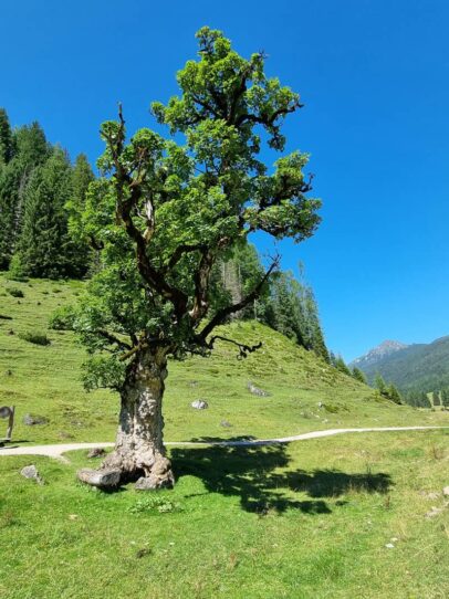 Obertauern ©Detlef Duering 27