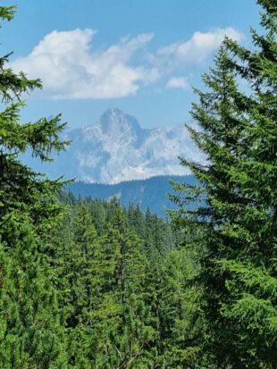 Obertauern ©Detlef Duering 54