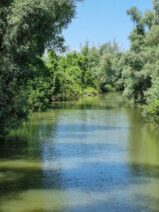 Donaudelta ©Detlef Duering 05