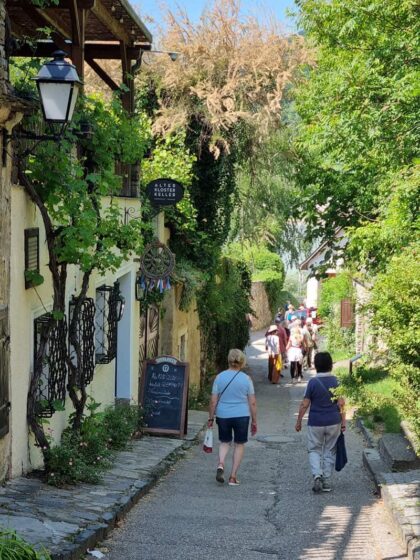 Duernstein ©Detlef Duering 17 1