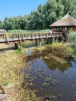 KopackiRit Naturpark ©Detlef Duering 03 1